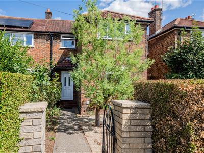 Picture 13
